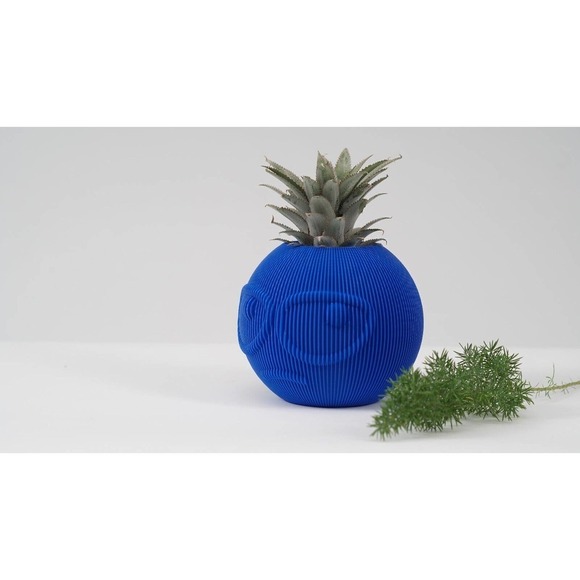 Funny Style Planter: Suspicious Dude Face, Emoji Inspired, Small Pot for Shelf - Picture 5 of 8